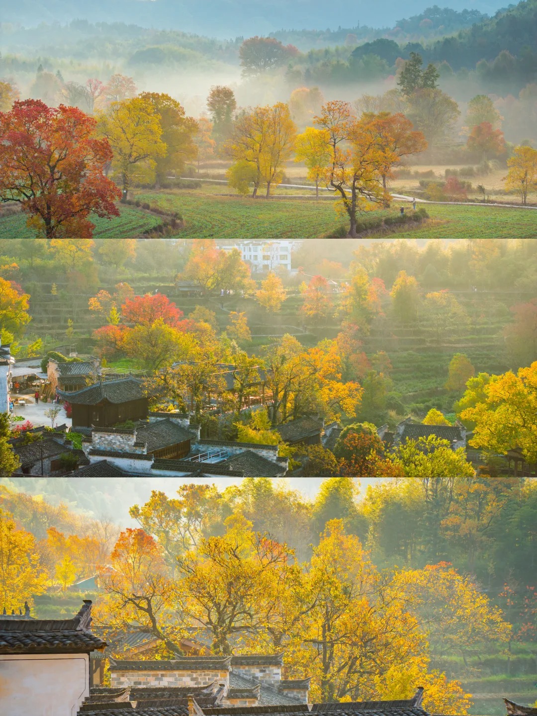 还想去第二次的赏秋圣地——塔川秋色❗️_3_无事有闲_安徽徽州-来自52tours 我爱旅游网